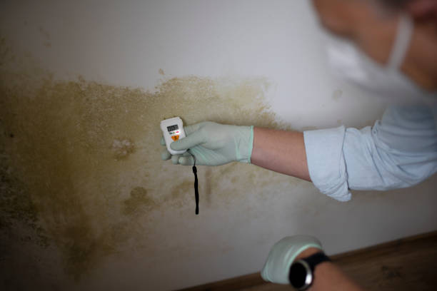 Sedro Woolley, WA Mold Remediation Company